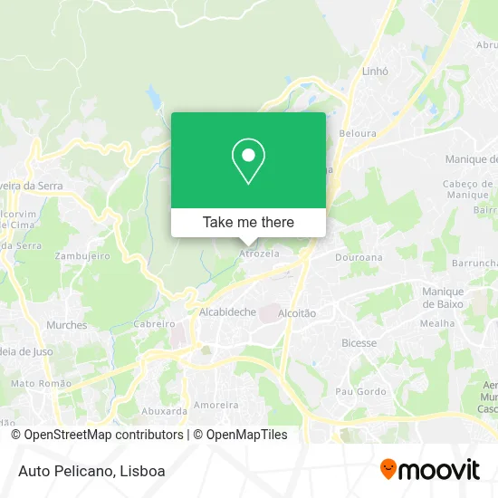 Auto Pelicano map