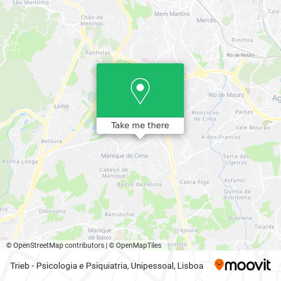 Trieb - Psicologia e Psiquiatria, Unipessoal map