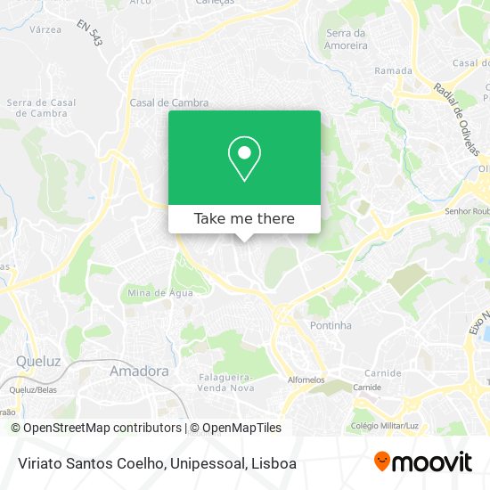 Viriato Santos Coelho, Unipessoal map