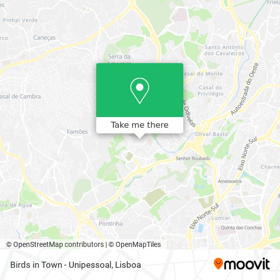Birds in Town - Unipessoal mapa