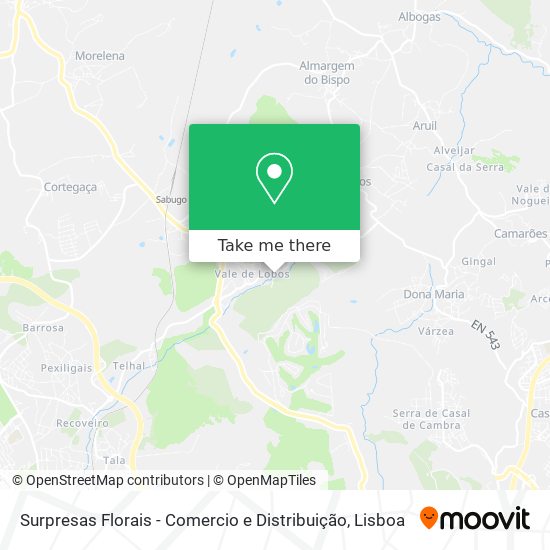 Surpresas Florais - Comercio e Distribuição mapa