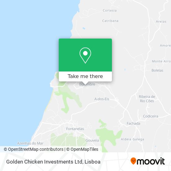 Golden Chicken Investments Ltd map