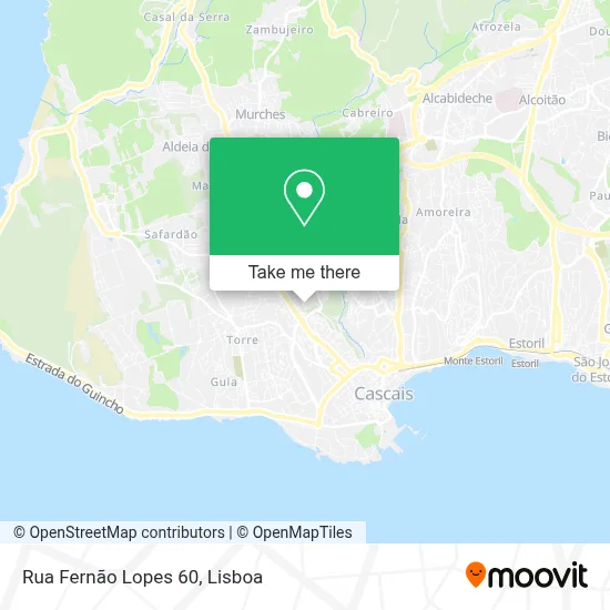 Rua Fernão Lopes 60 map