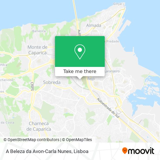 A Beleza da Avon-Carla Nunes mapa