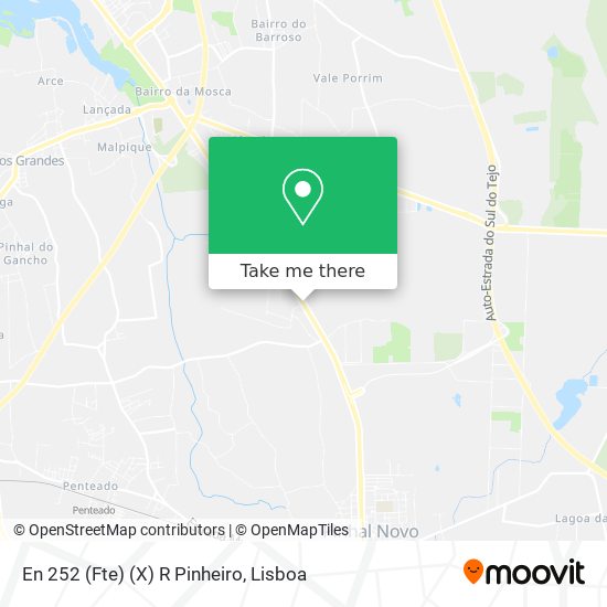 En 252 (Fte) (X) R Pinheiro map
