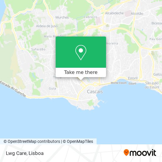 Lwg Care map