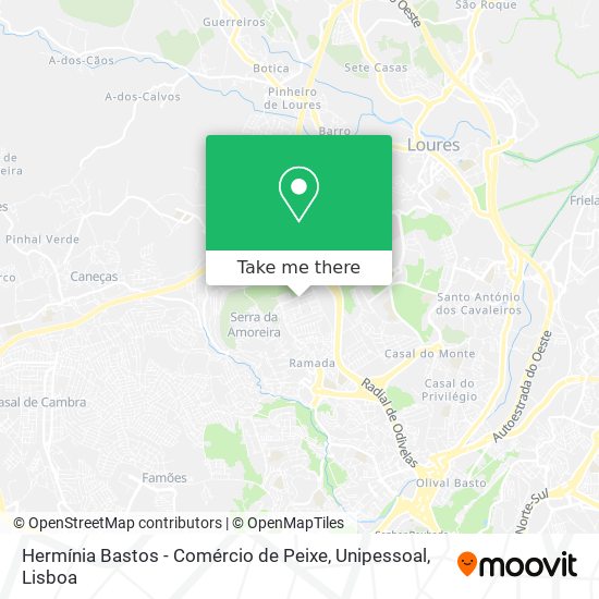 Hermínia Bastos - Comércio de Peixe, Unipessoal mapa