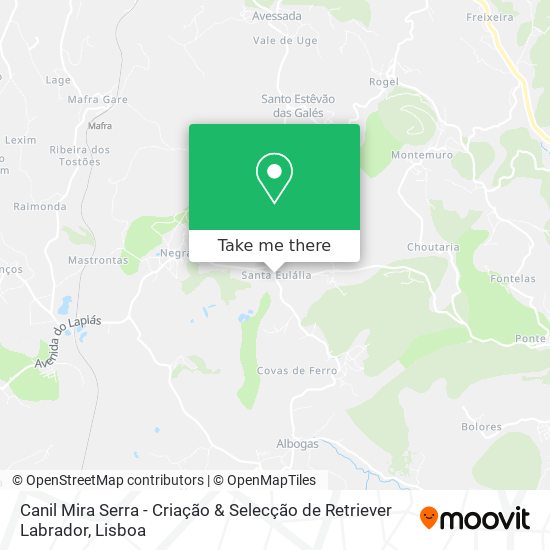 Canil Mira Serra - Criação & Selecção de Retriever Labrador map