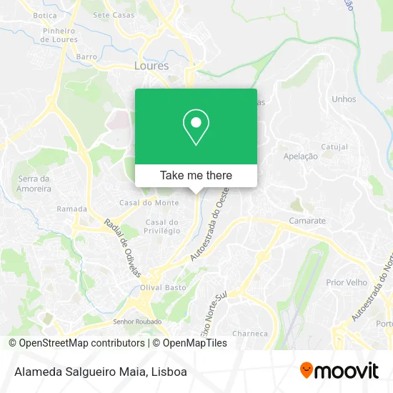 Alameda Salgueiro Maia map