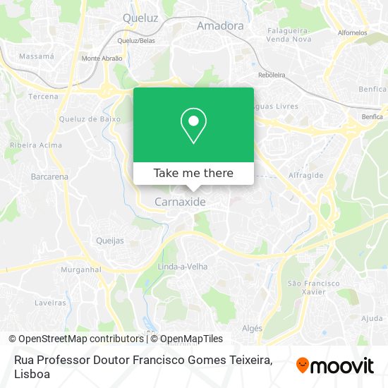 Rua Professor Doutor Francisco Gomes Teixeira map