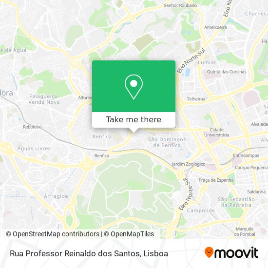 Rua Professor Reinaldo dos Santos map