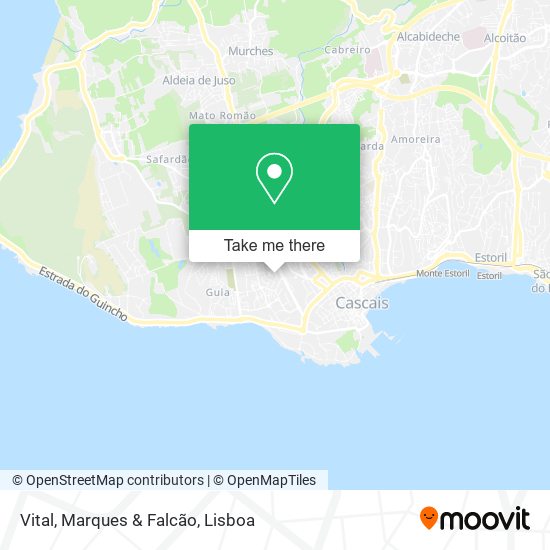 Vital, Marques & Falcão map