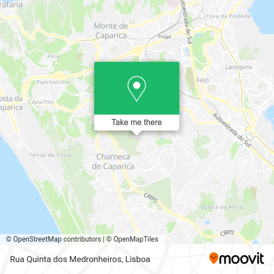 Rua Quinta dos Medronheiros map