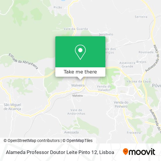 Alameda Professor Doutor Leite Pinto 12 map