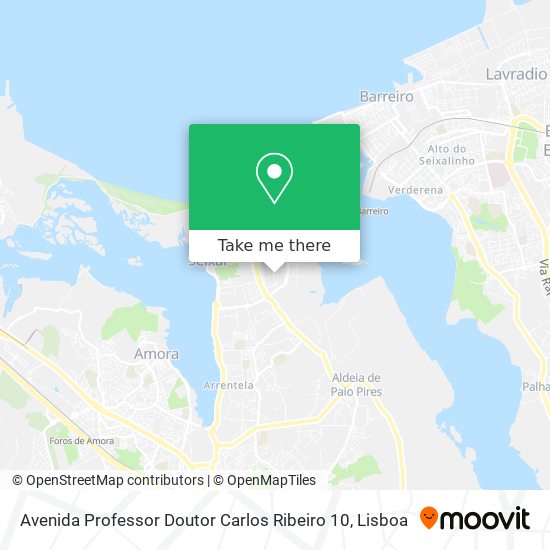 Avenida Professor Doutor Carlos Ribeiro 10 map