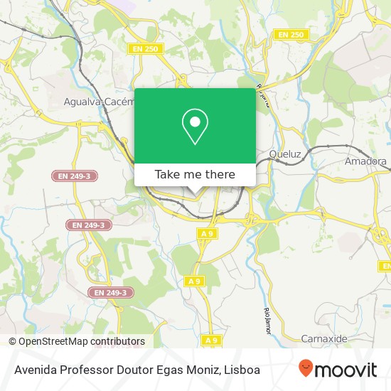 Avenida Professor Doutor Egas Moniz map