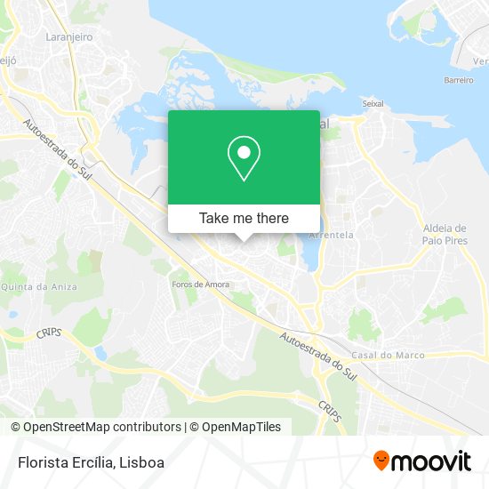 Florista Ercília mapa