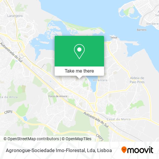 Agronogue-Sociedade Imo-Florestal, Lda mapa