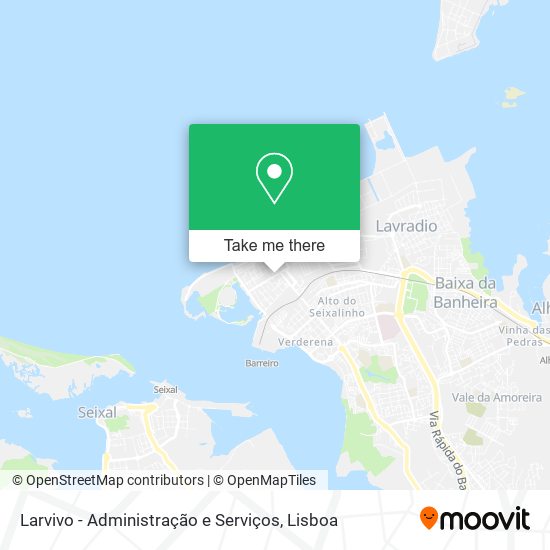 Larvivo - Administração e Serviços map