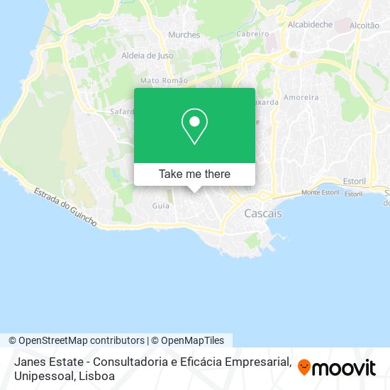 Janes Estate - Consultadoria e Eficácia Empresarial, Unipessoal mapa