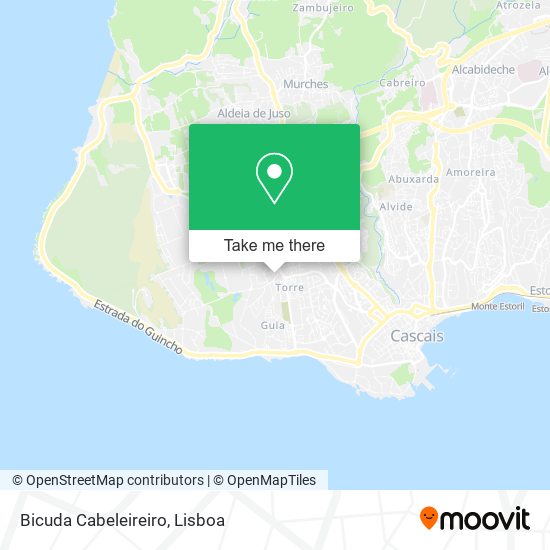 Bicuda Cabeleireiro mapa