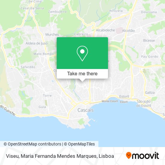 Viseu, Maria Fernanda Mendes Marques map