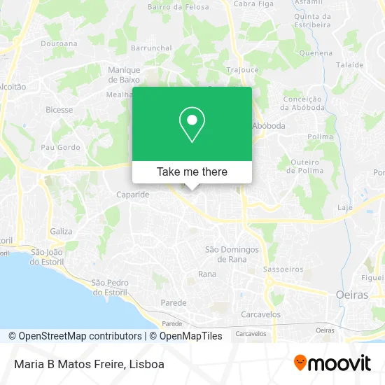 Maria B Matos Freire map
