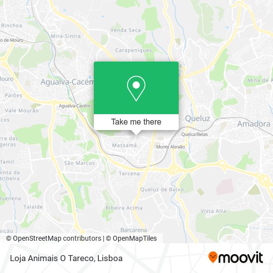 Loja Animais O Tareco map