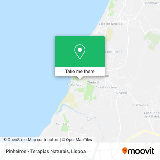 Pinheiros - Terapias Naturais mapa
