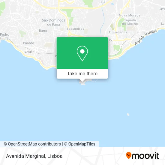 Avenida Marginal map