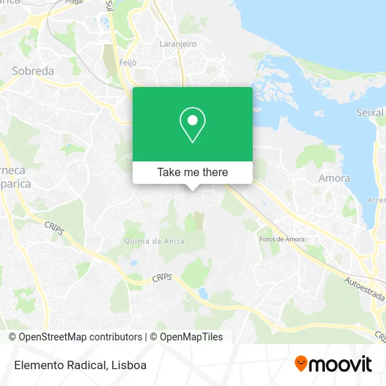 Elemento Radical map