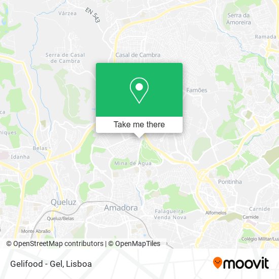 Gelifood - Gel mapa