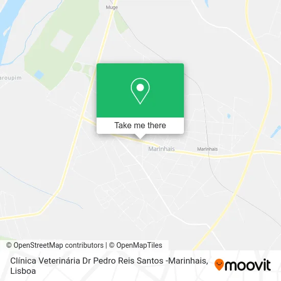 Clínica Veterinária Dr Pedro Reis Santos -Marinhais map