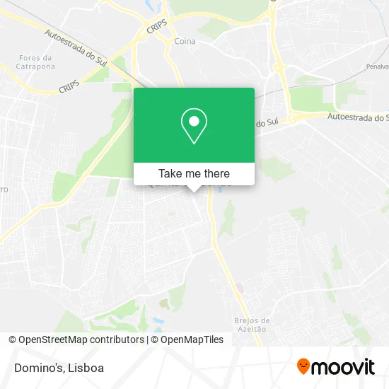 Domino's map
