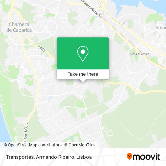 Transportes, Armando Ribeiro mapa