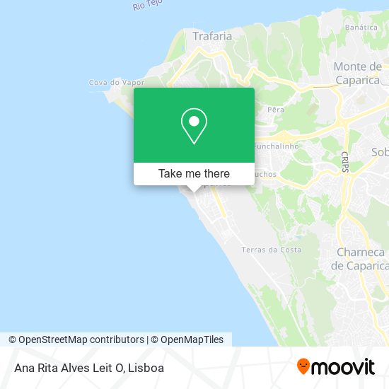 Ana Rita Alves Leit O mapa