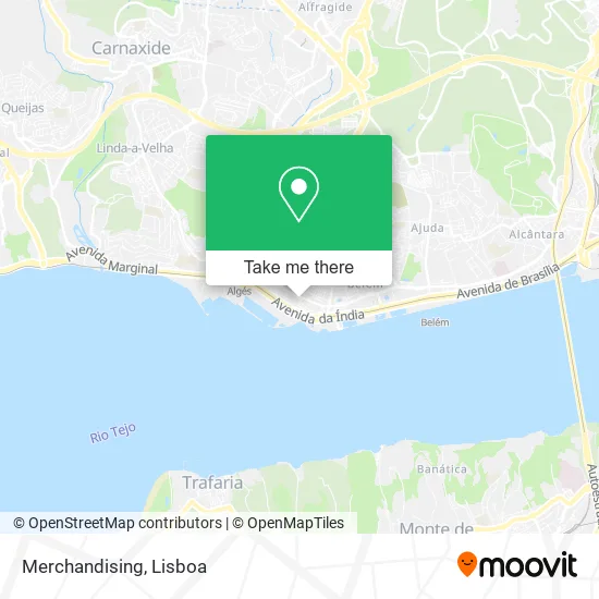 Merchandising map