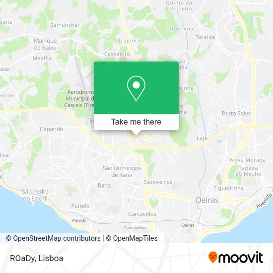 ROaDy map