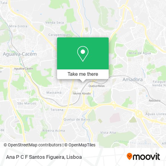 Ana P C F Santos Figueira map