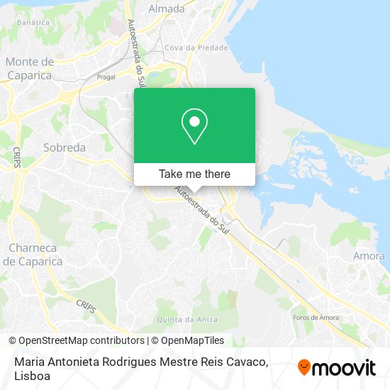 Maria Antonieta Rodrigues Mestre Reis Cavaco mapa