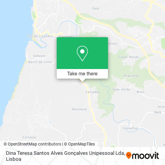 Dina Teresa Santos Alves Gonçalves Unipessoal Lda map