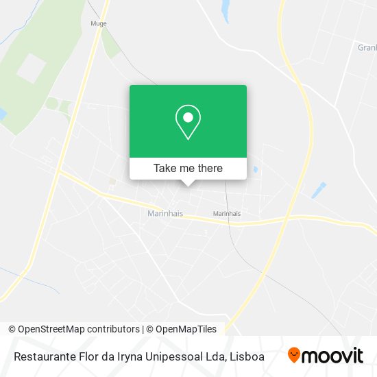 Restaurante Flor da Iryna Unipessoal Lda map