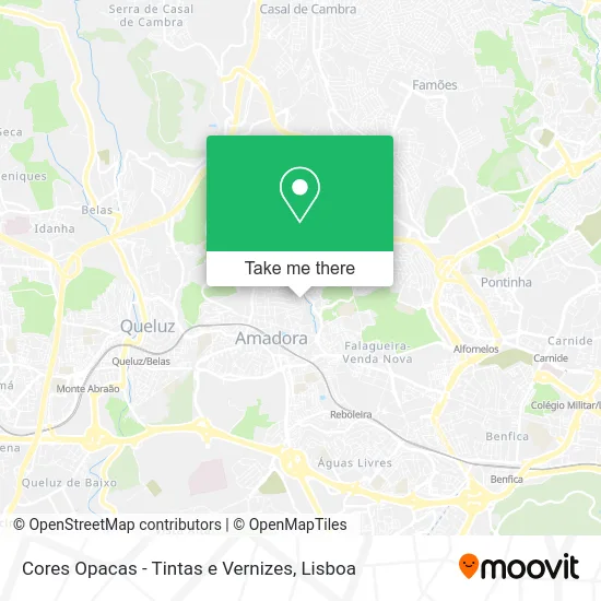 Cores Opacas - Tintas e Vernizes map