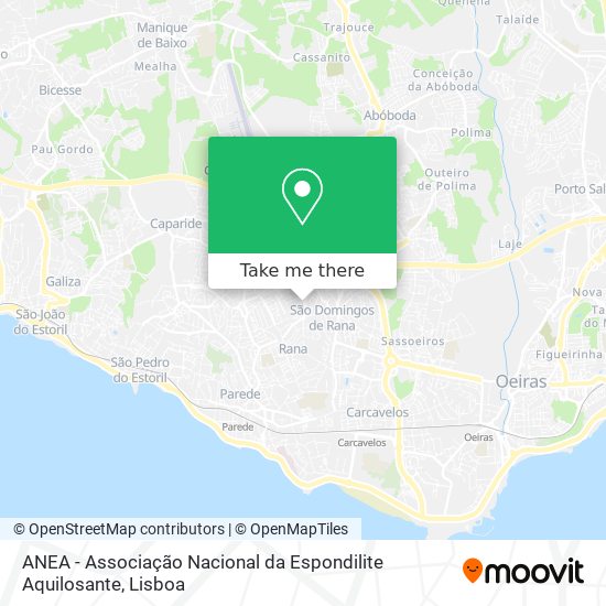 ANEA - Associação Nacional da Espondilite Aquilosante map