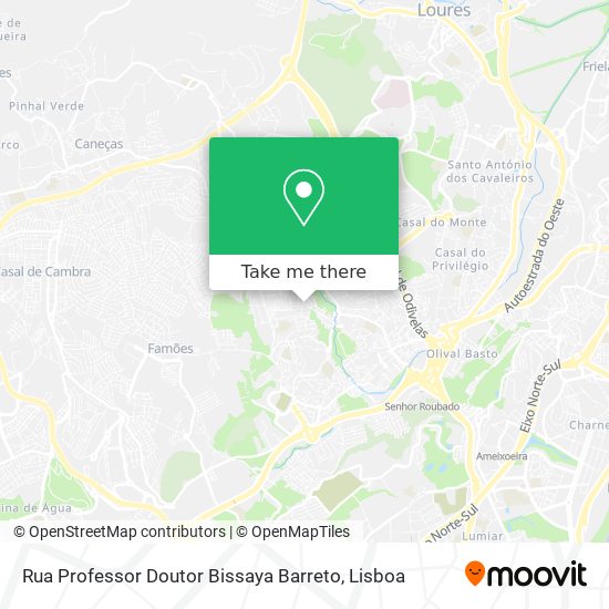 Rua Professor Doutor Bissaya Barreto map