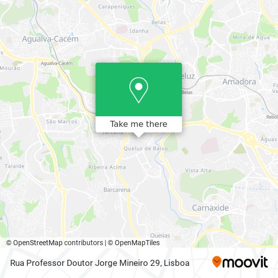 Rua Professor Doutor Jorge Mineiro 29 mapa
