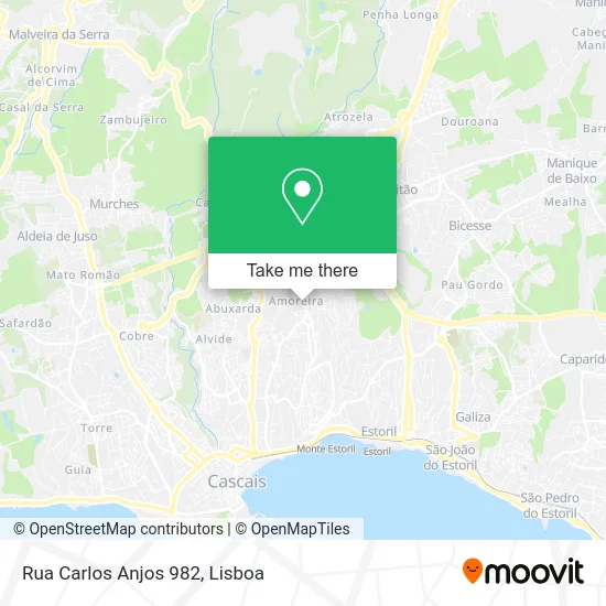 Rua Carlos Anjos 982 map