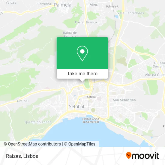 Raizes map