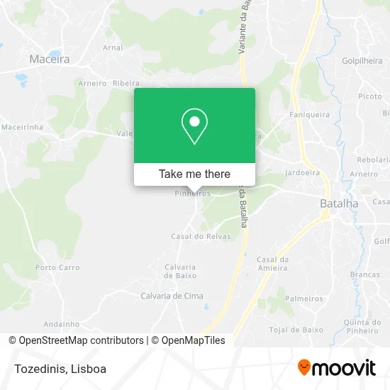 Tozedinis map