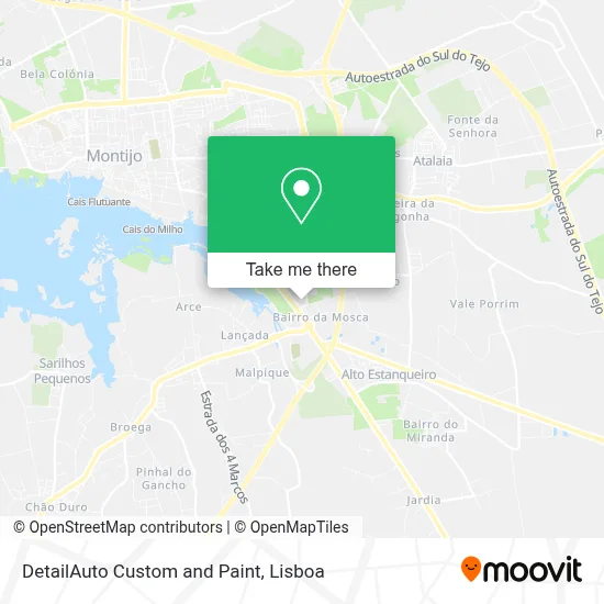 DetailAuto Custom and Paint map